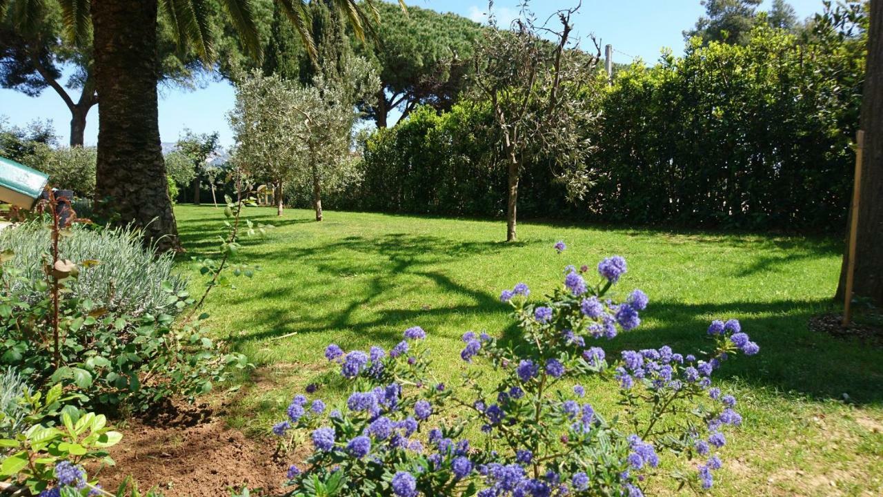 Отель La Stanza Del Podere Isabella Сан-Винченцо Экстерьер фото